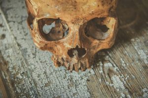 Vilniaus rajone – šiurpus radinys: aptikta žmogaus kaukolė ir kaulai