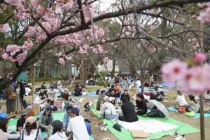 Japonijoje minios žmonių plūsta prie kiek vėliau nei įprastai pražydusių sakurų