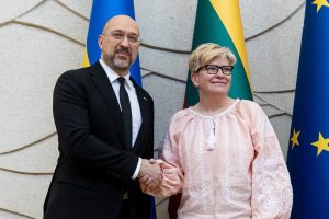 Ukrainos ir Lietuvos premjerai: vertinant NATO fondo iniciatyvą svarbus greitis