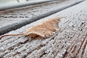 Į Lietuvą atkeliauja žiema: ar šaltukas laikysis ilgai?