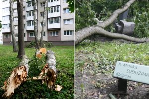 Po galingos audros Klaipėdoje kuoptis teks porą savaičių