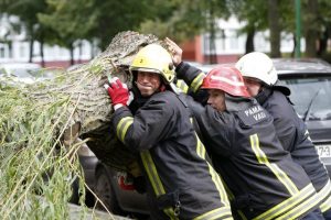 Savaitgalį ugniagesiams darbo netrūko: vėjo gūsiai daugiausia žalos pridarė Klaipėdos apskrityje