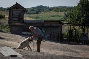 Rusijos išpuoliai Rytų Ukrainoje: žuvusiųjų skaičius auga