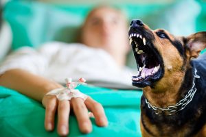 Skaudi nelaimė Klaipėdoje: šuns apkandžiota mažametė – medikų rankose