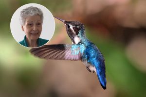 Atrado būdą, kaip vėl džiaugtis gyvenimu: vyro netektį ir vėžį įveikti padėjo kolibriai
