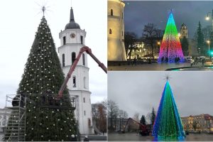Privertė teisintis dėl Vilniaus eglės kainos ir spalvų: tikrai už 230 tūkst. eurų?