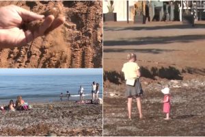 Pajūrio kurortuose – ginčai dėl smėlio