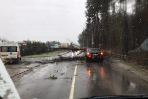 Lietuvoje užfiksuotas katastrofinio stiprumo vėjo greitis