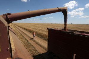 Susitarimas dėl ukrainietiškų grūdų eksporto baigė galioti, Rusijai atsisakius jį pratęsti