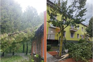 Šalinant medžius, ugniagesių pagalbos labiausiai reikėjo Šiaulių apskrities gyventojams