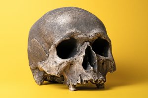 Atvežtoje žemėje – šiurpus radinys: aptiko žmogaus kaukolę ir kitus kaulus
