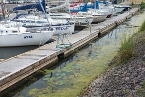 Ministerijų atstovams Pilies uoste smirdi?