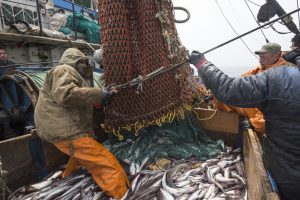 Žvejai kyla į kovą dėl paramos