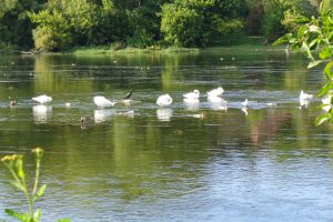 LHMT: šių metų rugsėjis buvo šilčiausias per 63 metus