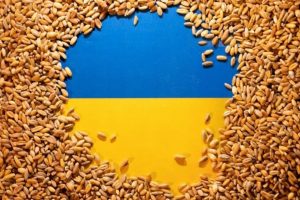 EK nusprendė nepratęsti ukrainietiškų grūdų importo embargo