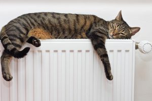 Nuo ko priklauso būsto šiluma ir mažesnės šildymo sąskaitos?