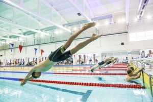  Europos plaukimo čempionatas Lietuvoje – idėja arti tikrovės
