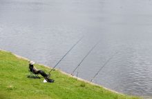 Įsigalioja draudimas Nemuno deltos regioniniame parke žvejoti karšius