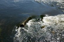 Drevernos uoste, vandenyje, pastebėtas išsiliejęs dyzelinis kuras