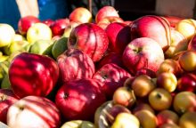 Turgavietėse – pirmieji šiųmečiai lietuviški obuoliai: nuo kainų pirkėjai nesirauko