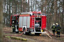 Vilniaus rajone dega didelis plotas miško paklotės