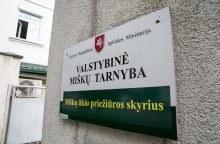 Ieškoma naujo Valstybinės miškų tarnybos vadovo