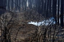 Prancūzijoje siaučiant gaisrams baiminamasi naujo ugnies plitimo