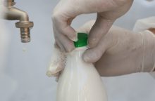 Pieno supirkimo kainos Lietuvoje vėl viršijo rekordą