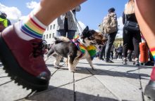 Mokslininkų tyrimas: ar savivaldybės atviros LGBTIQ asmenims?