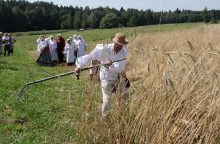 Nemuno deltos regioniniame parke – šienpjovių čempionatas