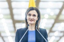 V. Čmilytė-Nielsen apie sprendimą dėl VSD pranešėjo komisijos: kai kurios išvados verčia šyptelėti 