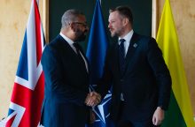 G. Landsbergis su Jungtinės Karalystės kolega aptarė pasirengimą NATO viršūnių susitikimui