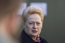 D. Grybauskaitė savo balsą EP rinkimuose atidavė Lietuvos ambasadoje Paryžiuje