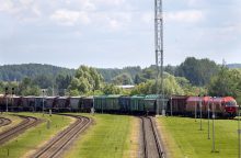 Rusijos laikinasis reikalų patikėtinis: EK nenori spręsti krovinių tranzito į Kaliningradą klausimo