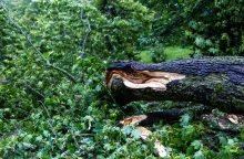 Radviliškio rajone dėl audros padarinių paskelbta ekstremali situacija