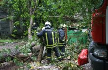 Nelaimė: pjaunamas medis užvirto ant vyro, jam plyšo pažastis