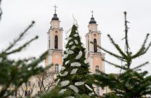 Labai svarbi žinia! Kaunas kviečia prisidėti prie Kalėdų stebuklo – ieško eglės