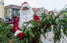 Tradicinė miškininkų akcija „Parsinešk Kalėdas į savo namus“ šiemet Kaune vyks kitoje vietoje