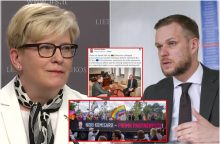 Premjerė apie aistras Lietuvos politikoje keliantį G. Landsbergį: jo gyvenimą apsunkina pavardė