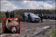 Apie šiurpų grybautojo sudraskymą Slovakijoje: lokys dantimis perrėžė vieną iš pagrindinių arterijų