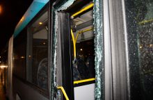 Švenčionių rajone nuo kelio nuvažiavo ir į medį rėžėsi keleivinis autobusas: vairuotojas žuvo